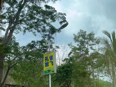 -西双版纳原始森林公园