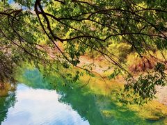 -龙湾潭国家森林公园
