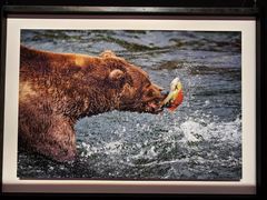 -罗红摄影艺术馆