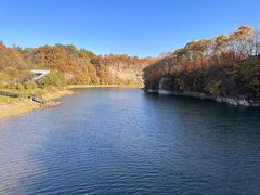 -黄椅山火山森林公园