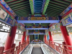 -金城公园