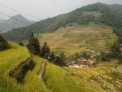 -紫鹊界梯田景区