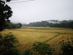 -韶山毛泽东同志故居