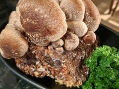 -捞王锅物料理(成都上城龙湖天街店)