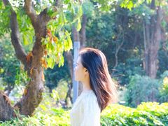 -四海公园(南山区)
