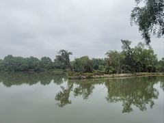 -大湾区中央湿地公园