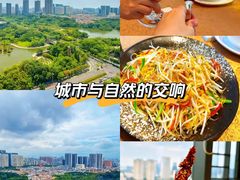 -安乐茶饭·手工素菜·高空景观餐厅(千灯湖店)