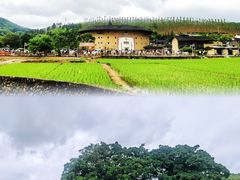 -云水谣景区