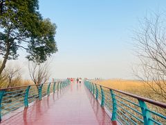-上海吴淞炮台湾国家湿地公园