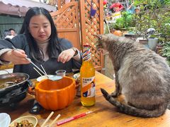 -鱼乐岛餐厅·户外花园主题餐厅