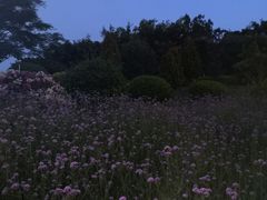 -五通灯塔公园