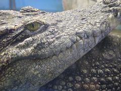 -大明湖海底世界