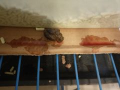 -全心全意连锁动物医院(加州店)