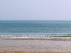-日照海滨国家森林公园