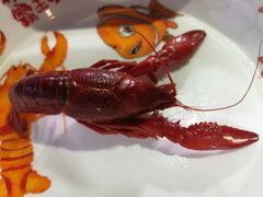 -霸王虾·麻辣小龙虾(清水河公园店)