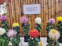 -上海大学(宝山校区)