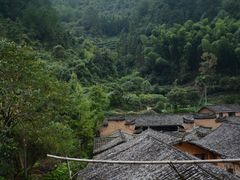 -杨家堂村