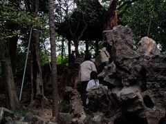 -西园戒幢律寺