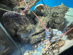 -鹿儿岛水族馆