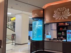 -谭厨中山传家菜.乳鸽.脆鲩鱼(华强北中航城店)