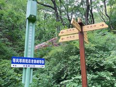 -老象峰