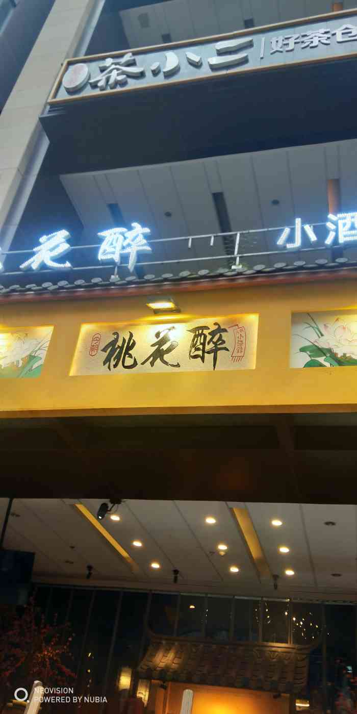 桃花醉小酒馆(时代天街店)
