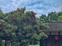 -马旺子酒楼
