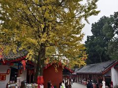 -金堂县云顶石城风景区