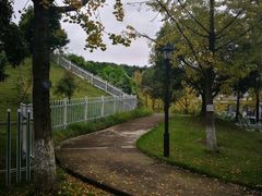 -铁山坪森林公园