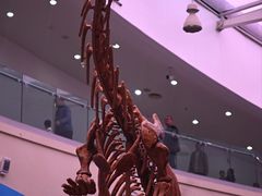 -陕西自然博物馆