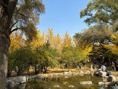 -森林公园(尖草坪区)