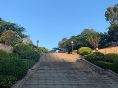 -清湖文化公园