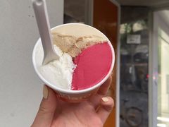 -DIP in GELATO(富民路店)