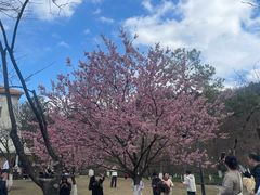 -星巴克(西湖天地店)