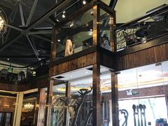 -more than meow吴止猫主题餐厅(承德 中船汇店)