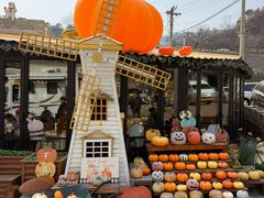 -京北渔家傲