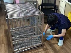 -哆趣宠物医院·眼科·内镜·急重症转诊中心(上海店)