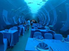 -海棠湾洲际-涛·海底餐厅·美人鱼·自助餐·海底隧道