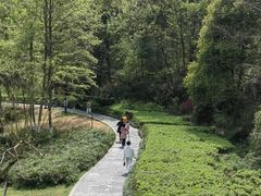 -桃花岭景区
