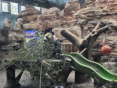 -石家庄市动物园