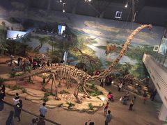 -自贡恐龙博物馆