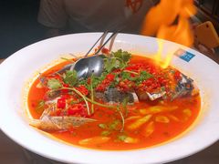 -坛宗剁椒鱼头(河西王府井店)