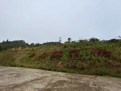 -大围山国家森林公园