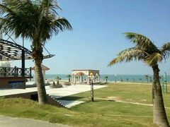 -放鸡岛生态旅游国际度假区