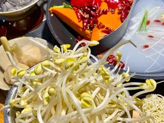 -阳阳老火锅(小南门店)