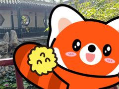 -莲池书院博物馆