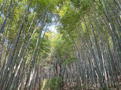 -苏州环秀晓筑养生度假村
