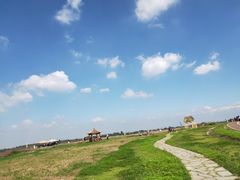 -空港花田景区