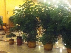iphone_upload_pic-喜满堂 望喜园·融合菜