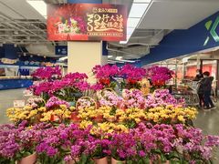 -盒马X会员店(王府井奥莱UP TOWN店)